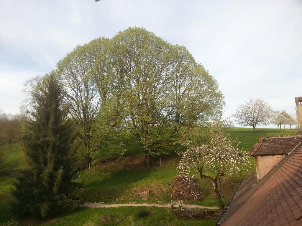 Gite 3 Du Chateau De Feschaux Villeneuve-sous-Pymont Exterior foto